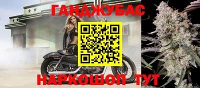 гидра Аргун