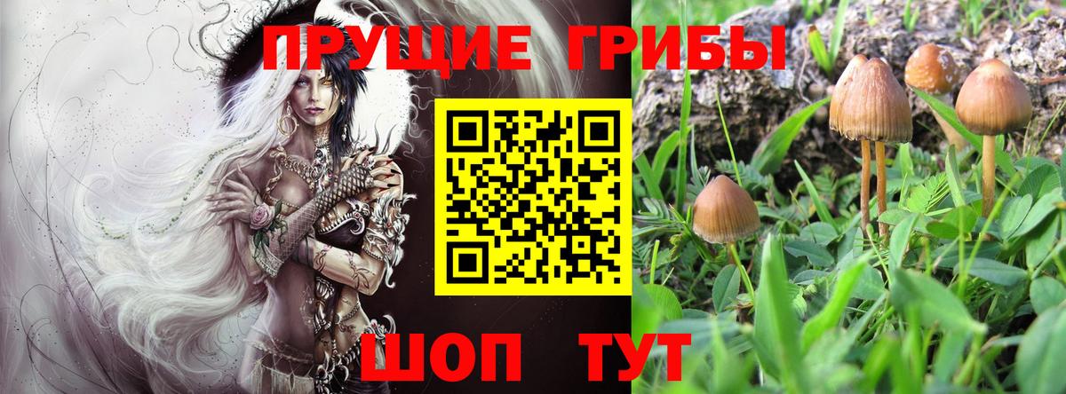 Галлюциногенные грибы MAGIC MUSHROOMS Челябинск