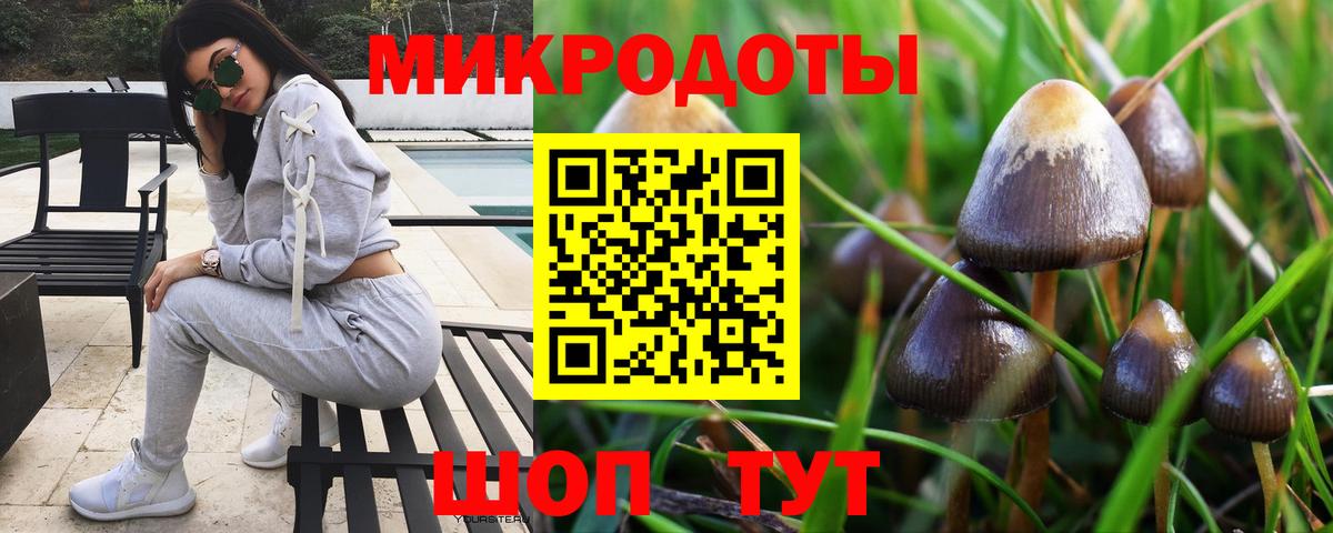 Галлюциногенные грибы мухоморы  Вход с VPN  Челябинск 