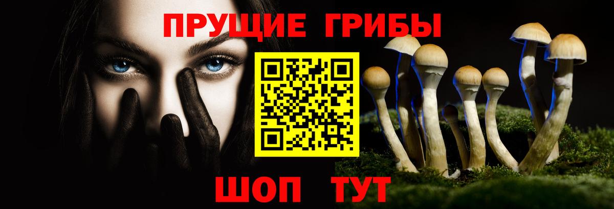 Псилоцибиновые грибы Psilocybe Челябинск